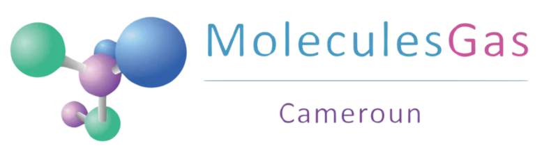 Logo-MoleculesGas-Cameroun.png